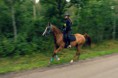 /album/bildgalleri/billingeritten-20140823-090142-0520-546102589606ee27004c68fe-jpg/